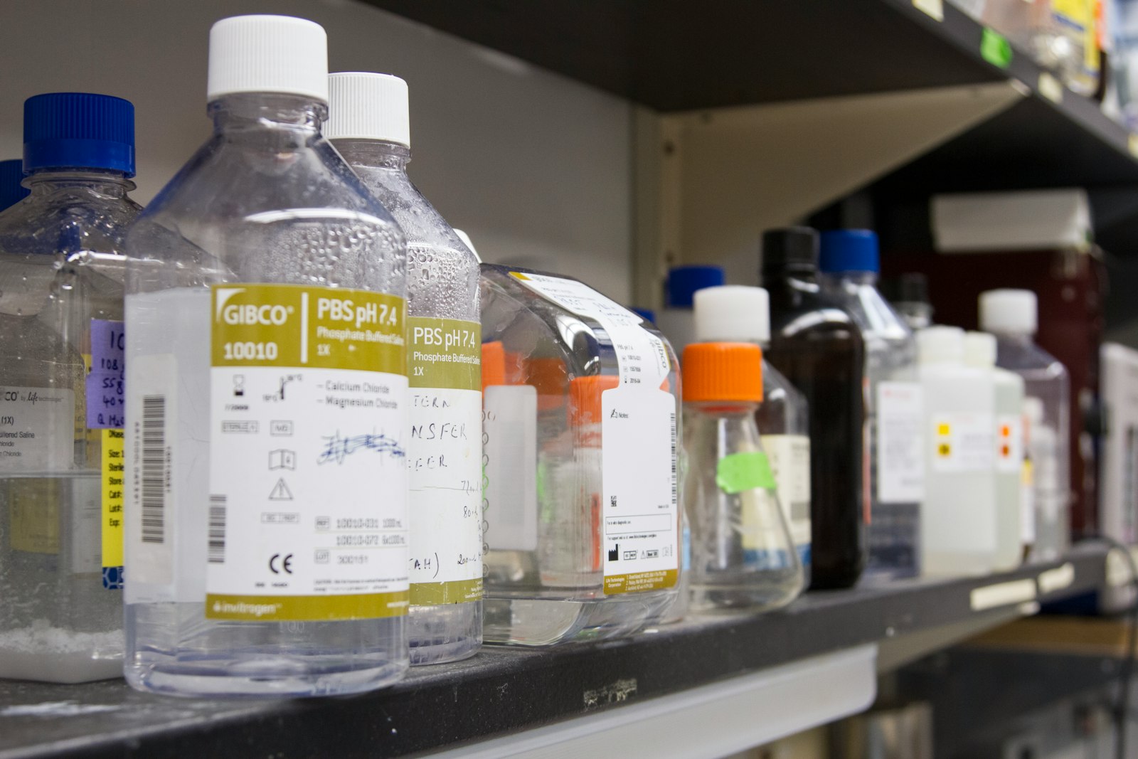 Reagent bottles and lab materials on a laboratory bench