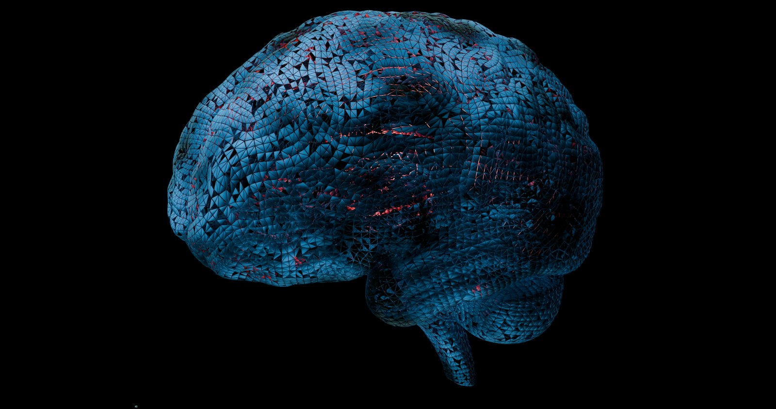 Geometric illustration of a human brain