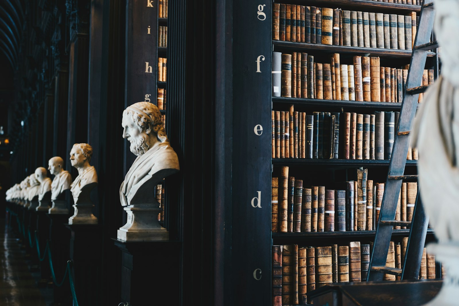 Shelves of bound journals and books